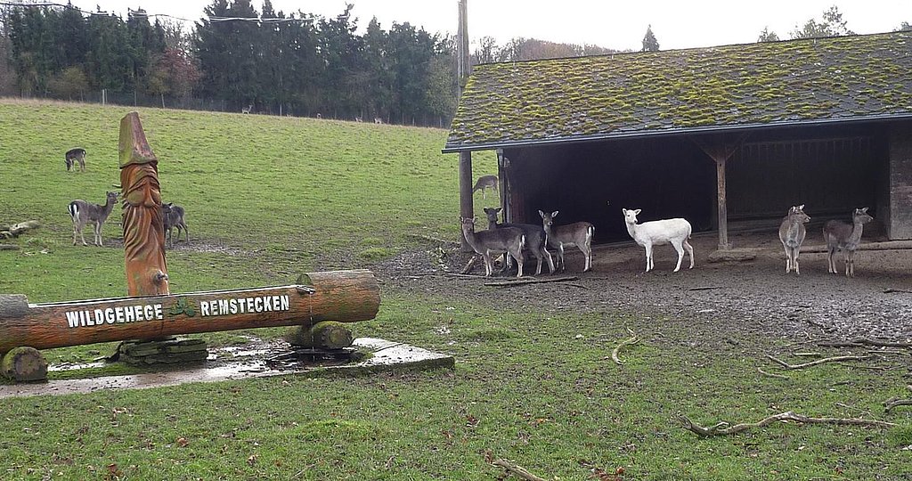 Freizeit Und Tierparks Freizeit Und Tierparks