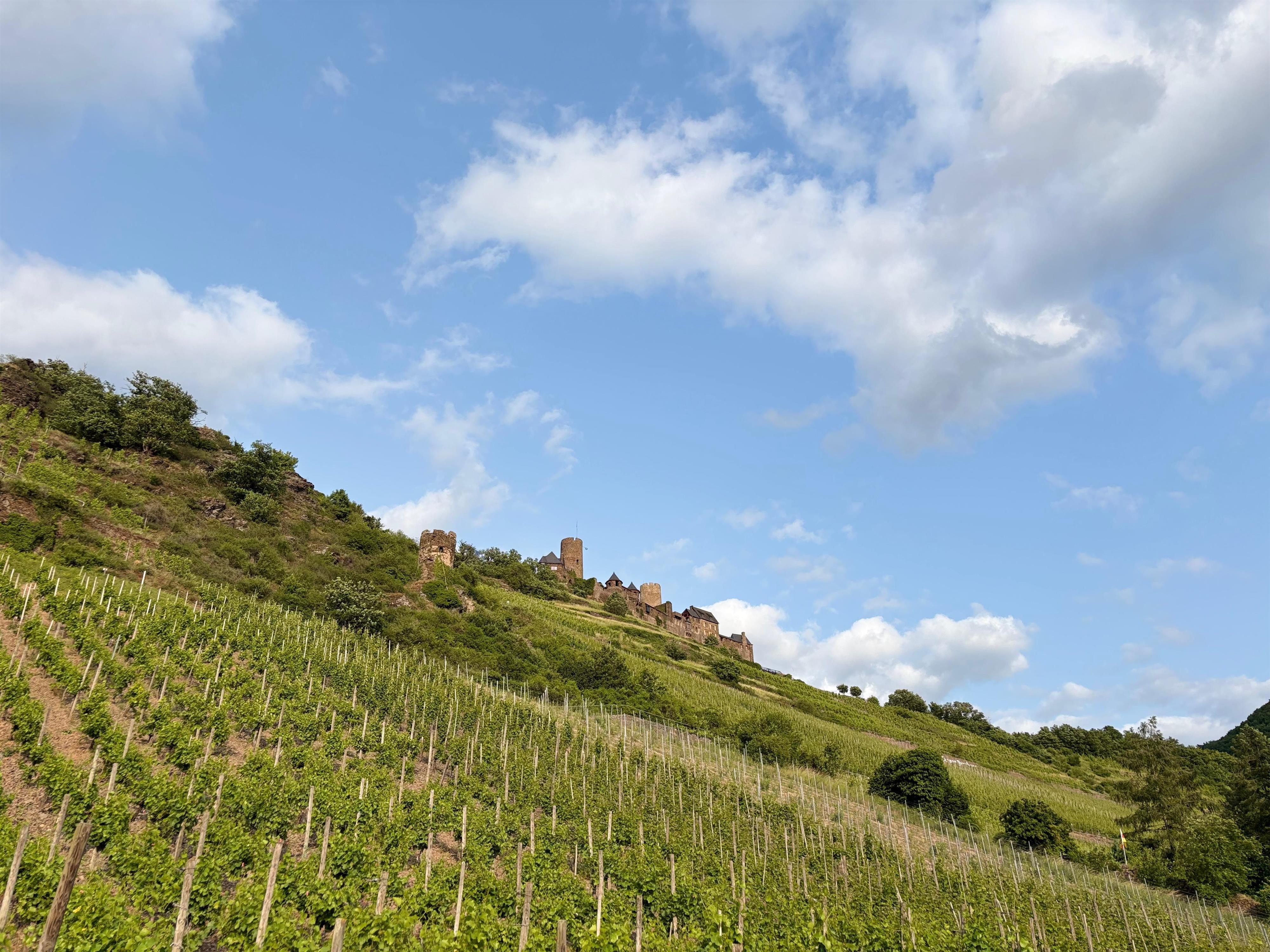 Foto: Blick auf die Burg Thurant