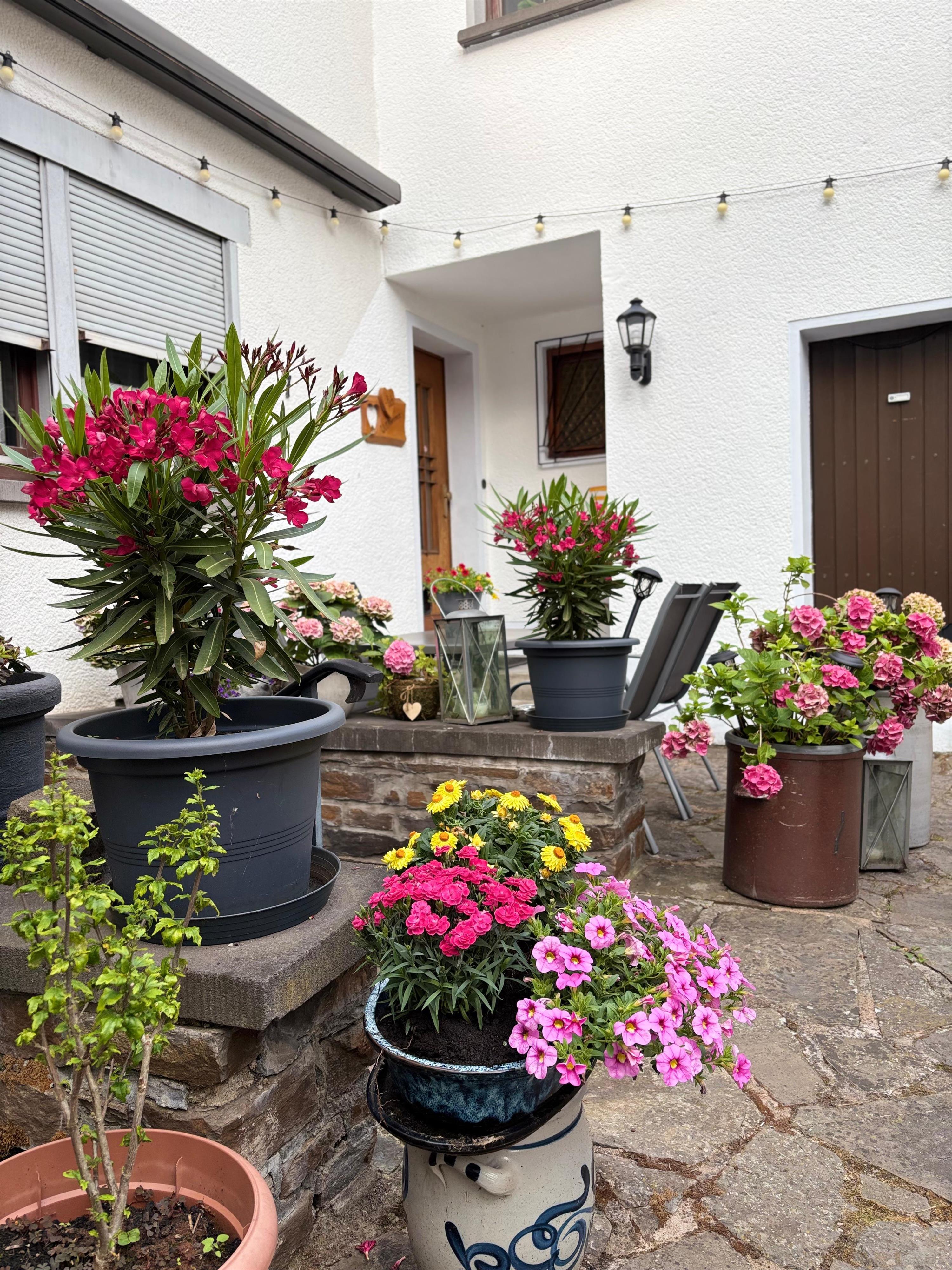 Foto: Außenansicht Ferienwohnung Gabriela Schmidt