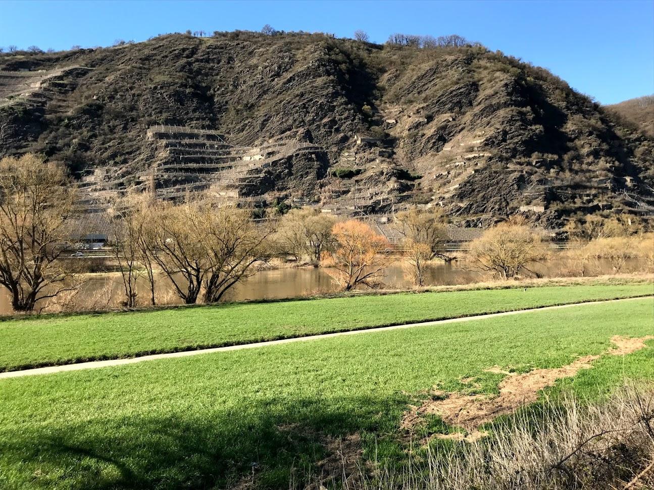 Foto: Aussicht mit Moselblick