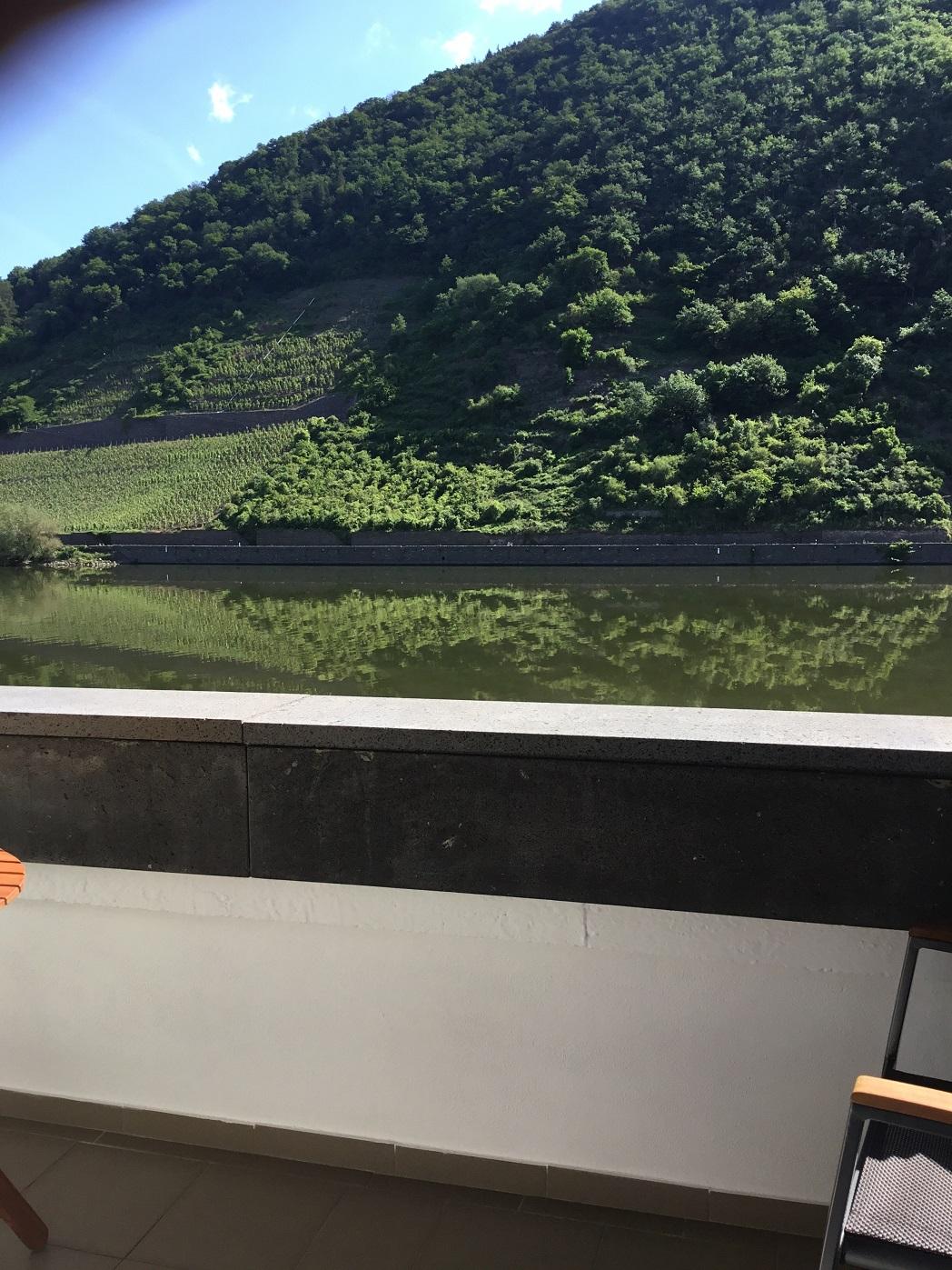 Foto: Blick auf die Weinberge vom Balkon und Wohnraum