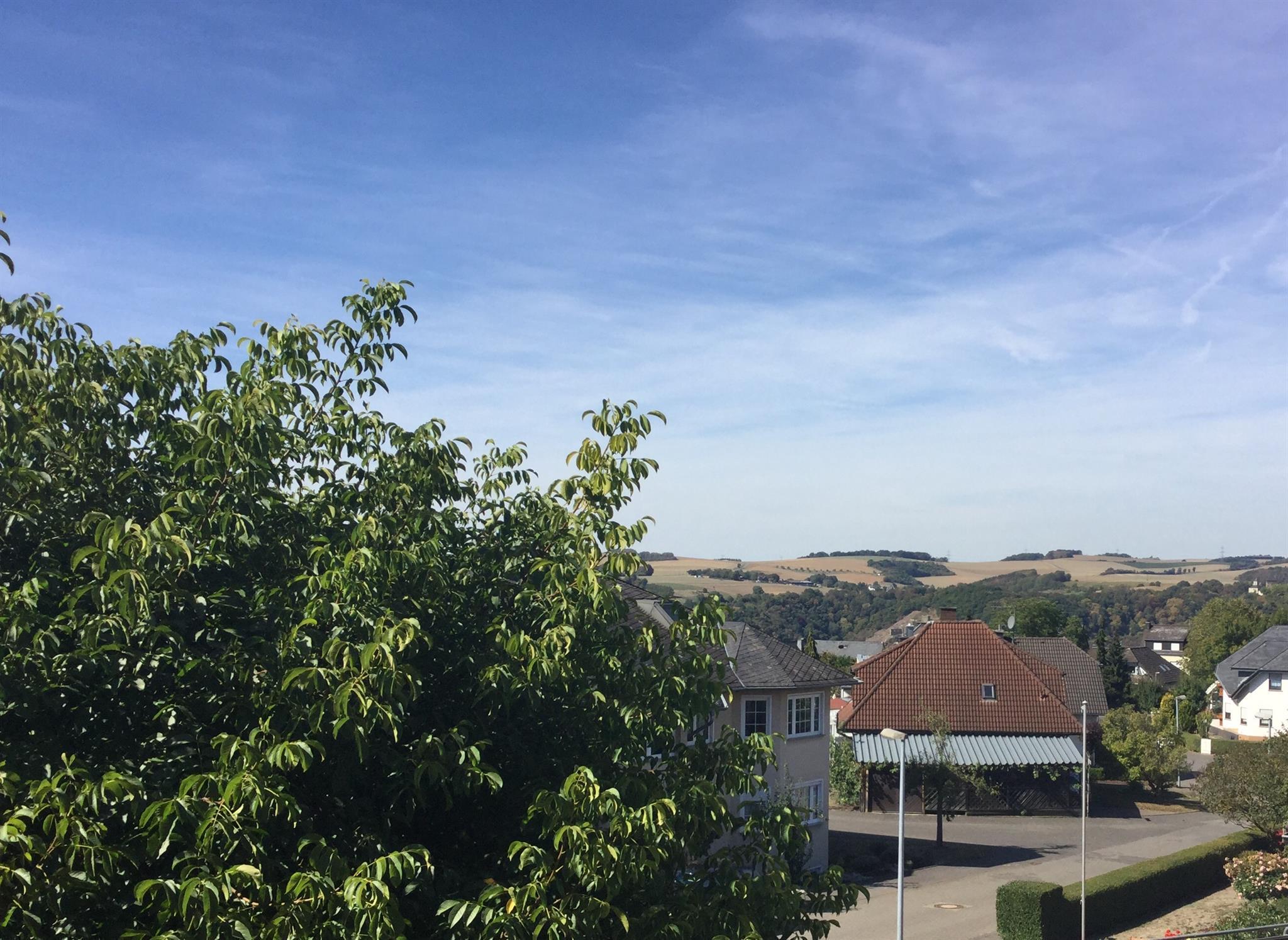 Foto: Ausblick auf die Eifelhöhen