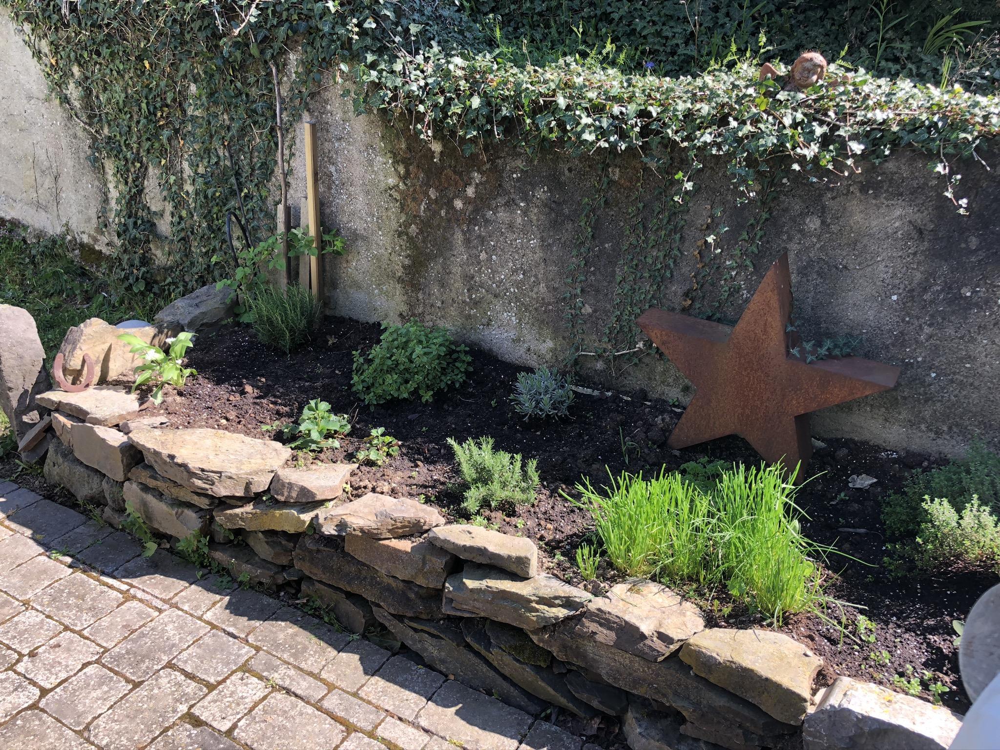 Foto: Kräutergarten