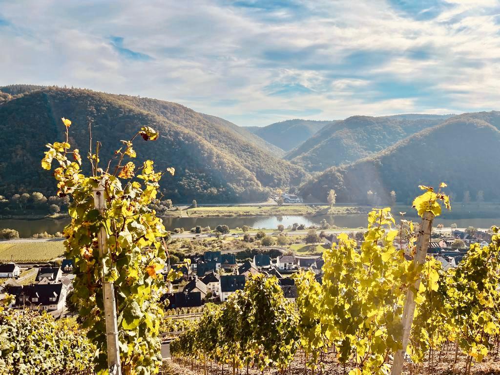 Foto: Landschaft