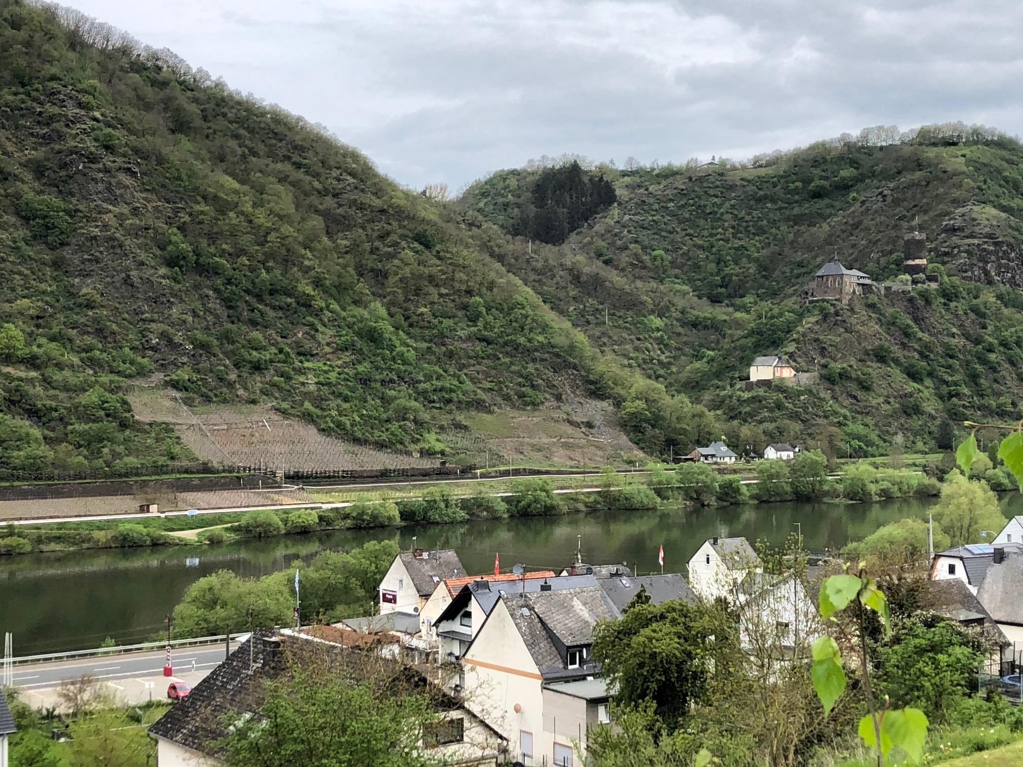Foto: Ausblick auf  Weinberge, Mosel, Burg Bischofstein