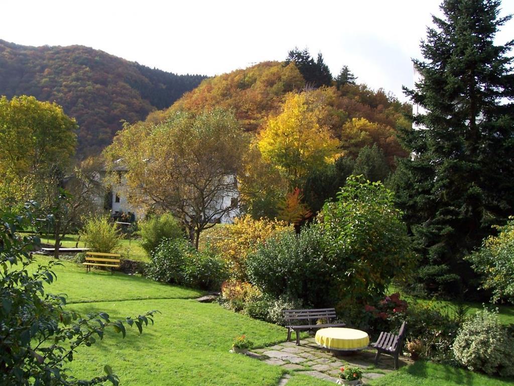 Foto: Natur rund um´s Haus am Ehrbach