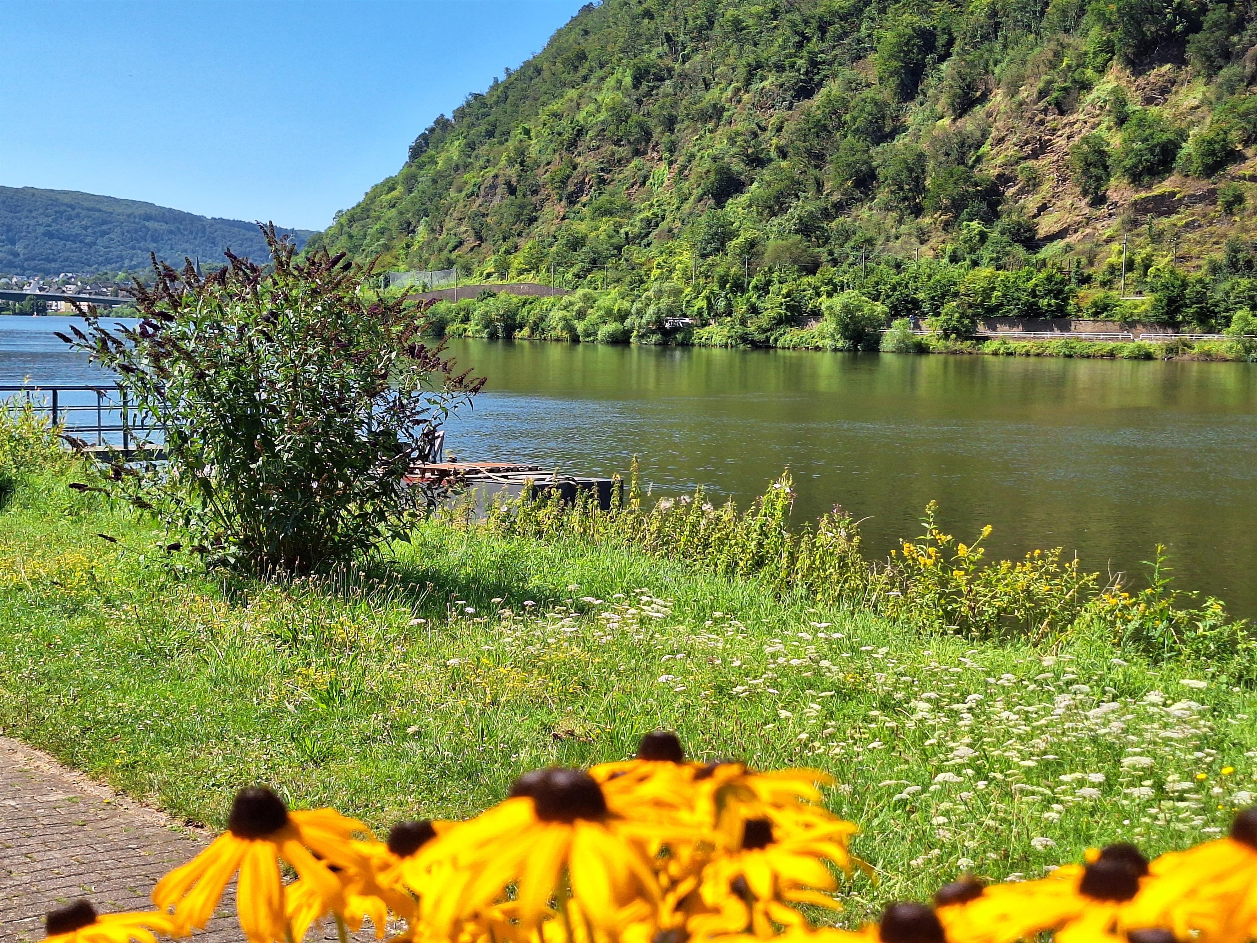 Foto: Alken an der Mosel