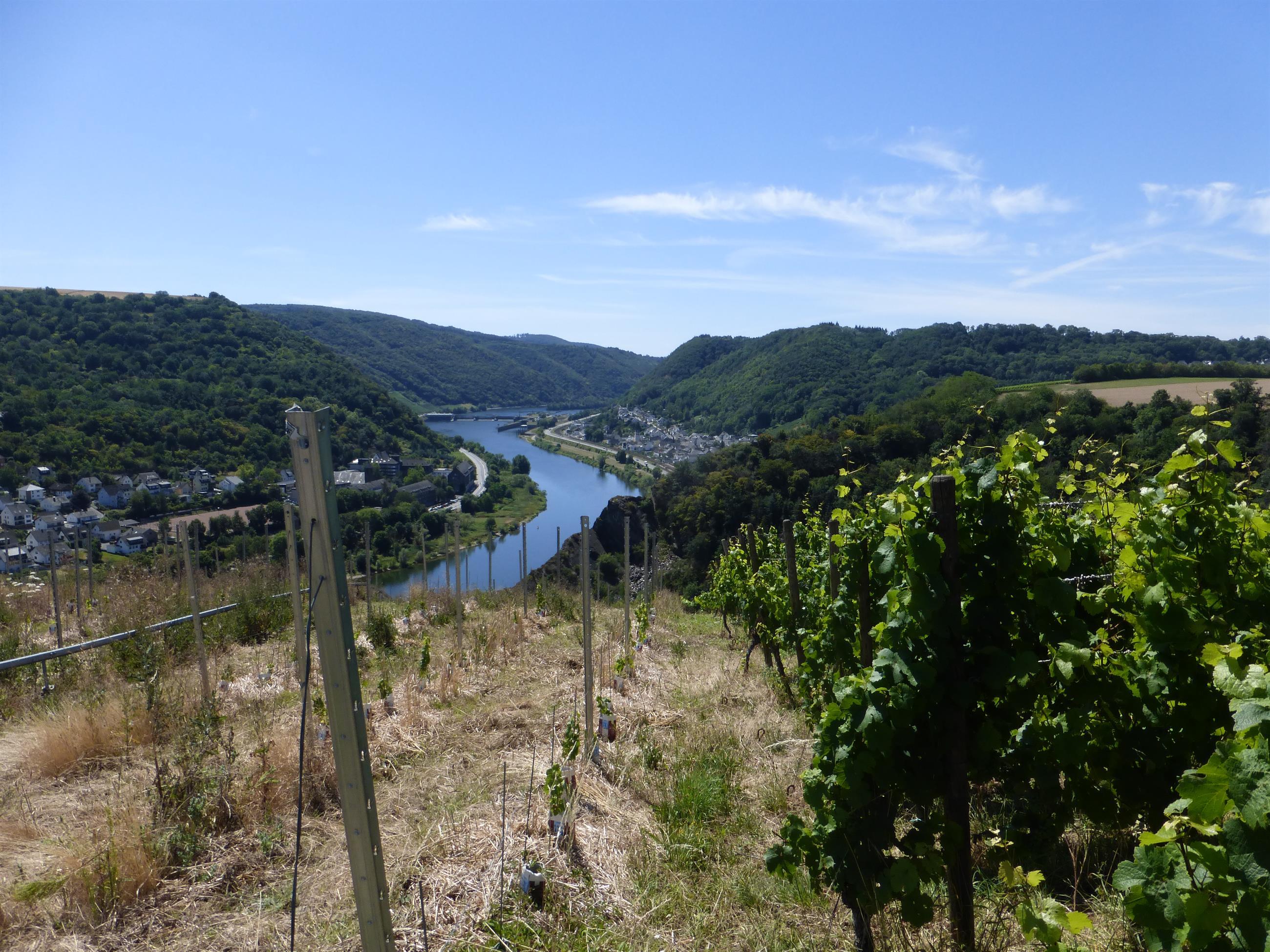 Foto: Moseltal