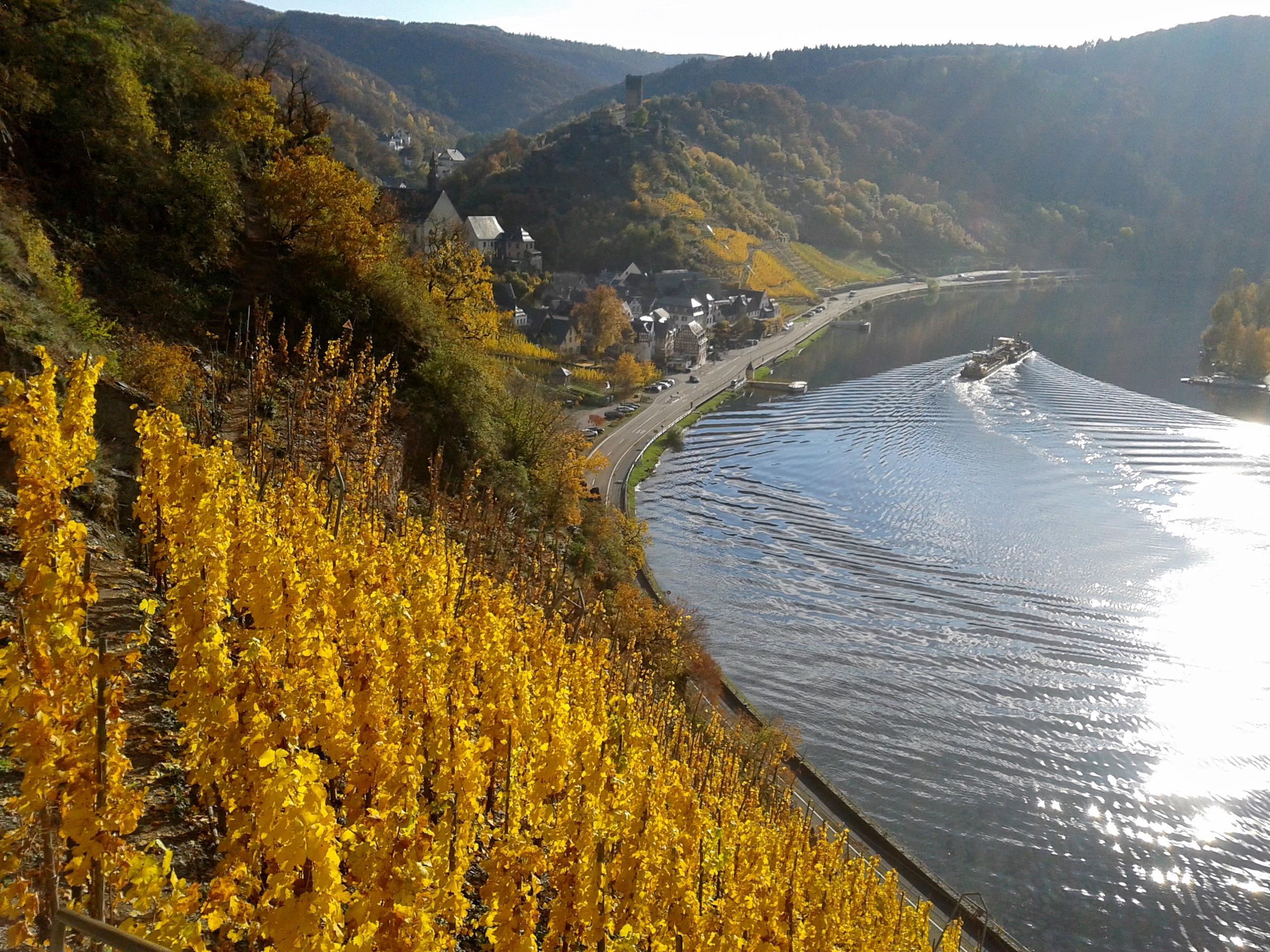 Foto: Beilstein