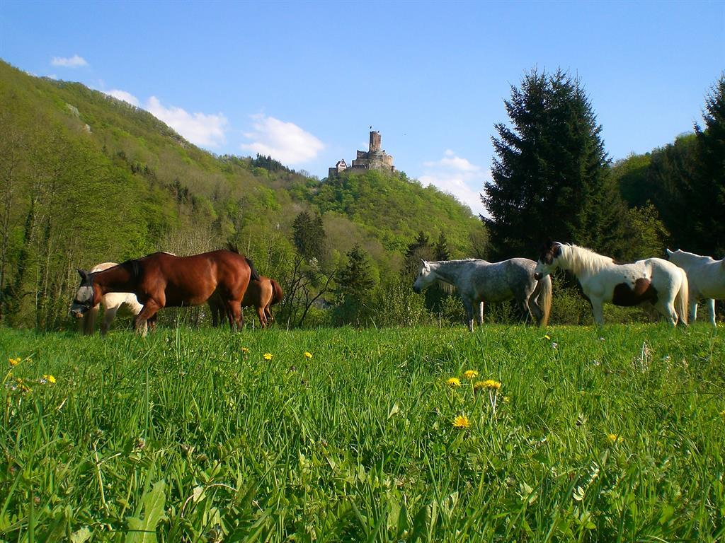 Foto: Ehrenburgertal